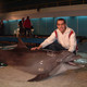 Suro, 45 (1 , 0 )