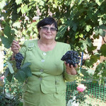 Евгения, 69 (4 фото, 0 видео)