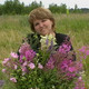 СВЕТЛАНА, 46 (1 фото, 0 видео)