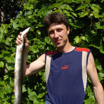Alex, 51 (1 , 0 )
