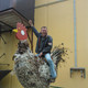 andrej, 55 (1 , 0 )