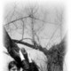 Виктория, 34