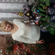 Галина, 65