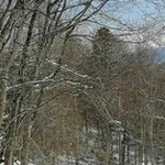 Сергей, 43 (1 фото, 0 видео)
