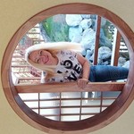, 50