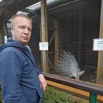 Владимир, 40 (1 фото, 0 видео)