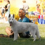 Александр, 57 (1 фото, 0 видео)